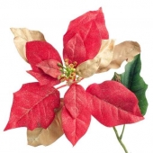 Red Christmas decoration
