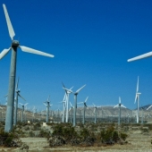 42-60709639