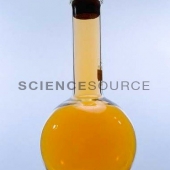 SP7595