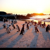 Alamy_akcjrt