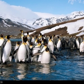 Alamy_e1wwc0