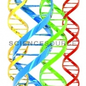 ScienceSource_SK7984