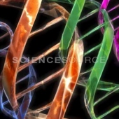 ScienceSource_SK7985