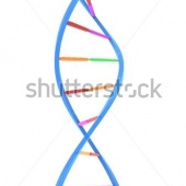 Shutterstock_1777681