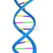 Thinkstock_510417217
