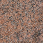 490925655