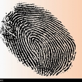 Alamy_dmg40c